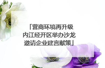 营商环境再升级 内江经开区举办沙龙邀请企业建言献策