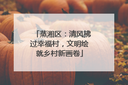 蒸湘区：清风拂过幸福村，文明绘就乡村新画卷