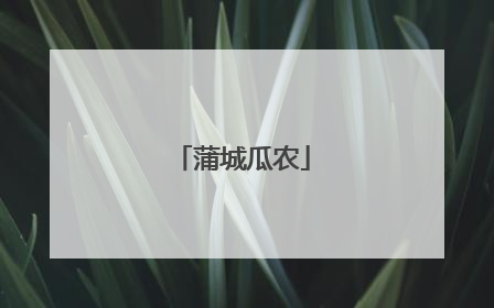 蒲城瓜农