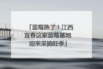 蓝莓熟了！江西宜春这家蓝莓基地迎来采摘旺季