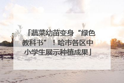 蔬菜幼苗变身“绿色教科书”！哈市各区中小学生展示种植成果