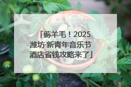 薅羊毛！2025潍坊·新青年音乐节酒店省钱攻略来了