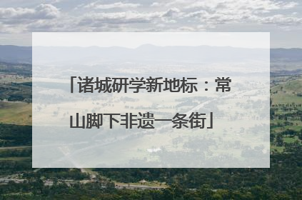 诸城研学新地标：常山脚下非遗一条街