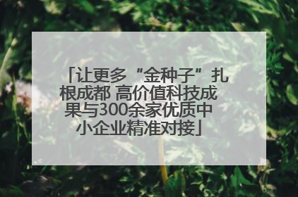 让更多“金种子”扎根成都 高价值科技成果与300余家优质中小企业精准对接