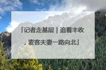 记者走基层｜追着丰收，麦客夫妻一路向北