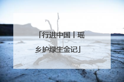 行进中国丨瑶乡护绿生金记