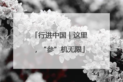 行进中国｜这里，“参”机无限