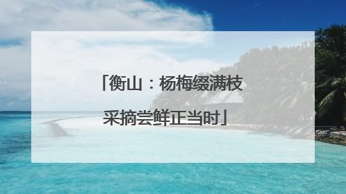 衡山：杨梅缀满枝 采摘尝鲜正当时