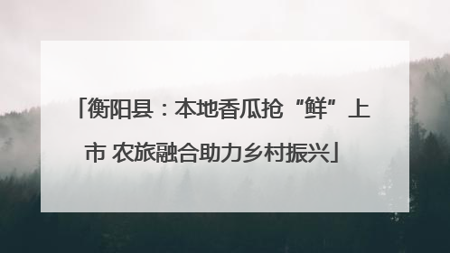 衡阳县：本地香瓜抢“鲜”上市 农旅融合助力乡村振兴