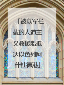 被以军拦截的人道主义救援船抵达以色列阿什杜德港