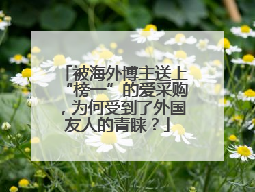 被海外博主送上“榜一”的爱采购，为何受到了外国友人的青睐？