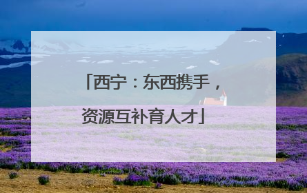 西宁：东西携手，资源互补育人才