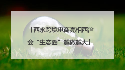西永跨境电商亮相西洽会“生态圈”越做越大