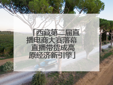 西藏第二届直播电商大赛落幕 直播带货成高原经济新引擎