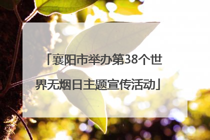 襄阳市举办第38个世界无烟日主题宣传活动