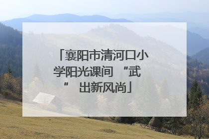 襄阳市清河口小学阳光课间 “武” 出新风尚