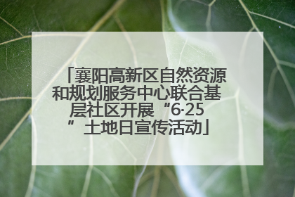 襄阳高新区自然资源和规划服务中心联合基层社区开展“6·25”土地日宣传活动