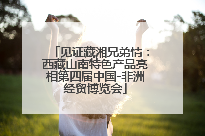 见证藏湘兄弟情：西藏山南特色产品亮相第四届中国-非洲经贸博览会