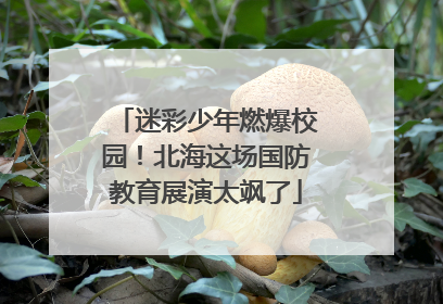 迷彩少年燃爆校园！北海这场国防教育展演太飒了