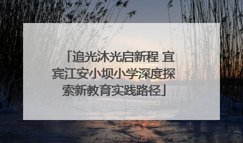 追光沐光启新程 宜宾江安小坝小学深度探索新教育实践路径