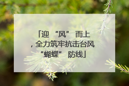 迎 “风” 而上，全力筑牢抗击台风 “蝴蝶” 防线