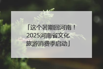 这个暑期回河南！2025河南省文化旅游消费季启动