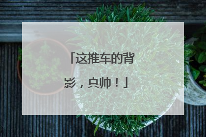 这推车的背影，真帅！