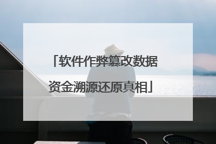 软件作弊篡改数据 资金溯源还原真相