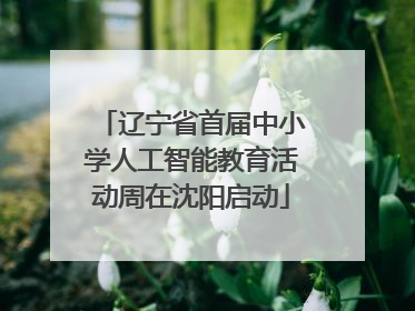 辽宁省首届中小学人工智能教育活动周在沈阳启动