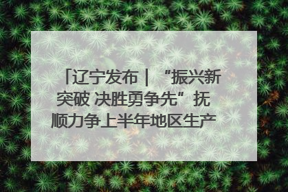 辽宁发布｜“振兴新突破 决胜勇争先”抚顺力争上半年地区生产总值增长7%左右