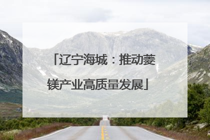 辽宁海城：推动菱镁产业高质量发展