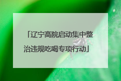 辽宁高院启动集中整治违规吃喝专项行动