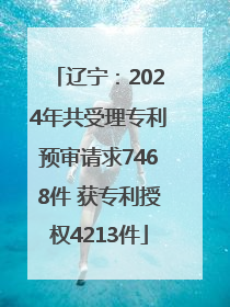 辽宁：2024年共受理专利预审请求7468件 获专利授权4213件