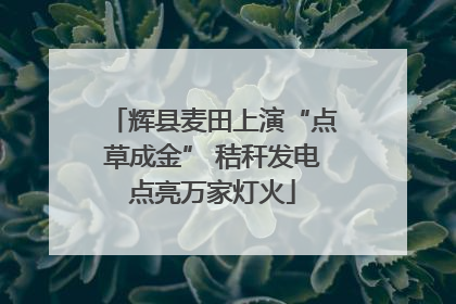 辉县麦田上演“点草成金” 秸秆发电点亮万家灯火