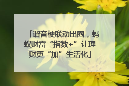 谐音梗联动出圈，蚂蚁财富“指数+”让理财更“加”生活化