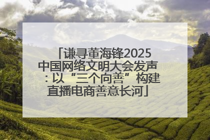 谦寻董海锋2025中国网络文明大会发声：以“三个向善”构建直播电商善意长河