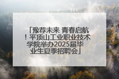 豫荐未来 青春启航！平顶山工业职业技术学院举办2025届毕业生夏季招聘会
