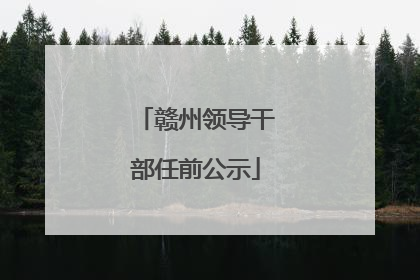赣州领导干部任前公示