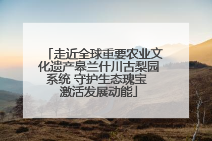 走近全球重要农业文化遗产皋兰什川古梨园系统 守护生态瑰宝 激活发展动能