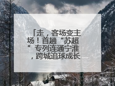 走，客场变主场！首趟“苏超”专列连通宁淮，跨城追球成长三角人新日常