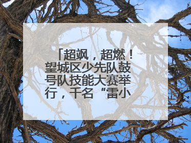 超飒，超燃！望城区少先队鼓号队技能大赛举行，千名“雷小锋”风采闪耀