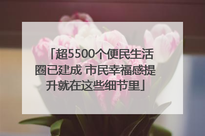 超5500个便民生活圈已建成 市民幸福感提升就在这些细节里