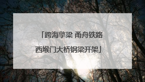 跨海擎梁 甬舟铁路西堠门大桥钢梁开架