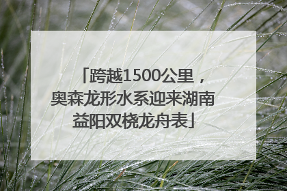 跨越1500公里，奥森龙形水系迎来湖南益阳双桡龙舟表