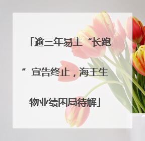 逾三年易主“长跑”宣告终止，海王生物业绩困局待解