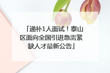 递补1人面试！泰山区面向全国引进急需紧缺人才最新公告