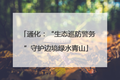 通化：“生态巡防警务”守护边境绿水青山