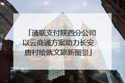 通联支付陕西分公司以云商通方案助力长安唐村绘就文旅新图景