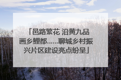 邑路繁花 沿黄九品 画乡鲤都……聊城乡村振兴片区建设亮点纷呈