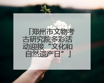 郑州市文物考古研究院多彩活动迎接“文化和自然遗产日”